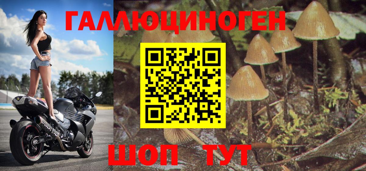 Магадан  Галлюциногенные грибы Psilocybine cubensis  Вход с VPN 